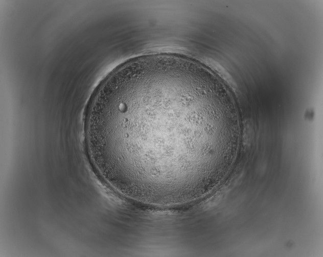 X0000091231031200708161712