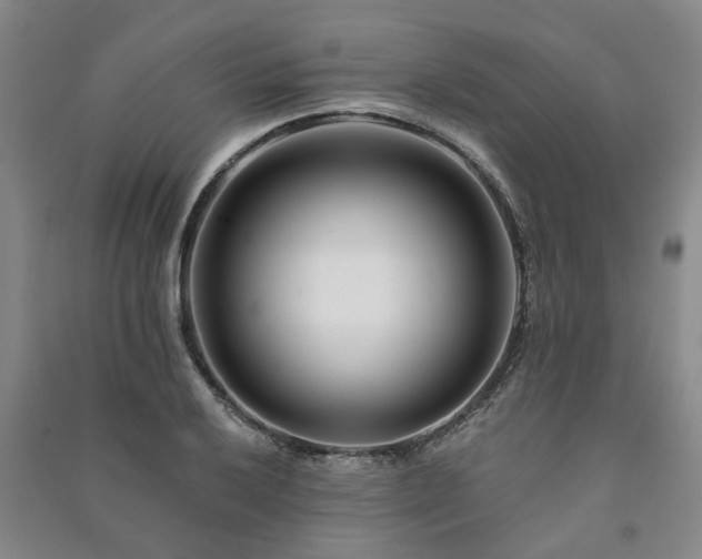 X0000091231032200708161712