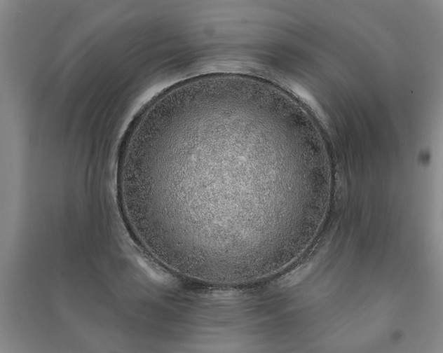 X0000091231035200708161712