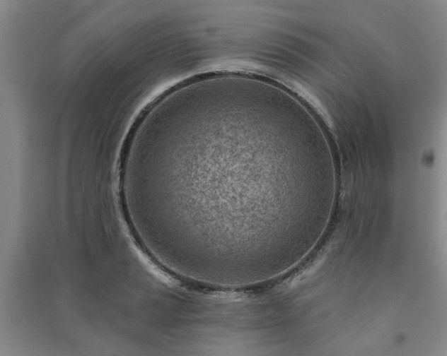 X0000091231037200708161713