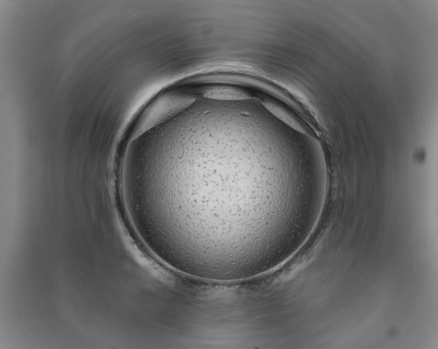 X0000091231038200708161713