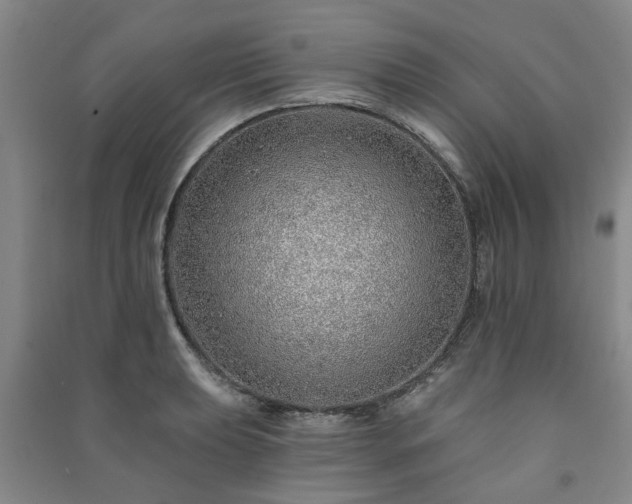 X0000091231039200708161713