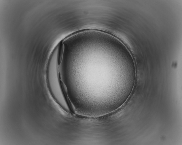 X0000091231040200708161713