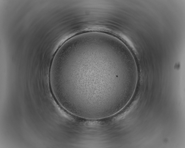 X0000091231041200708161713