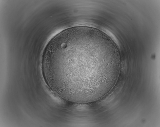 X0000091231043200708161713