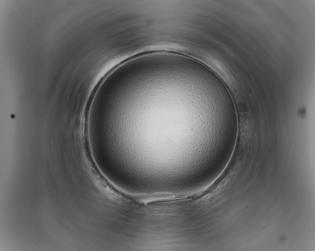 X0000091231044200708161713