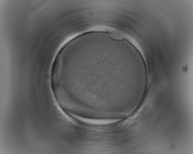 X0000091231045200708161713