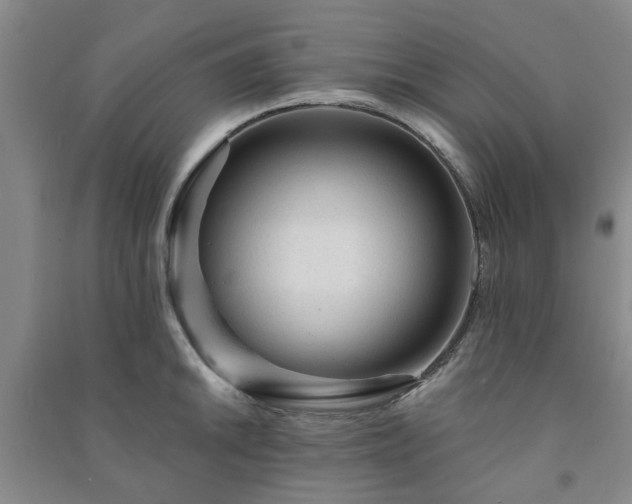 X0000091231046200708161713