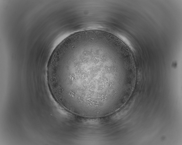 X0000091231047200708161713