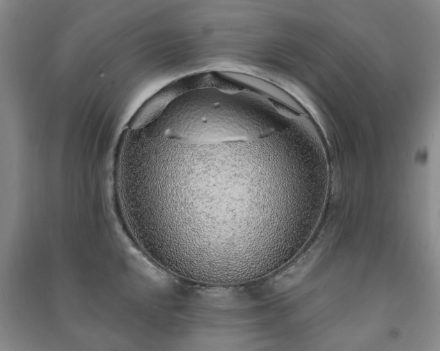 X0000091231048200708161713