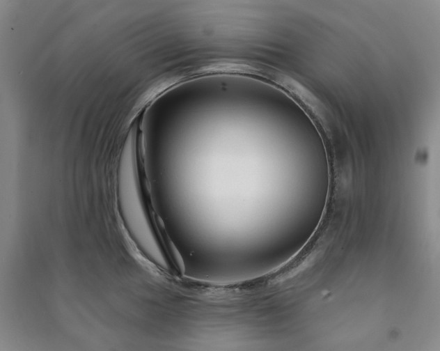 X0000091231049200708161713
