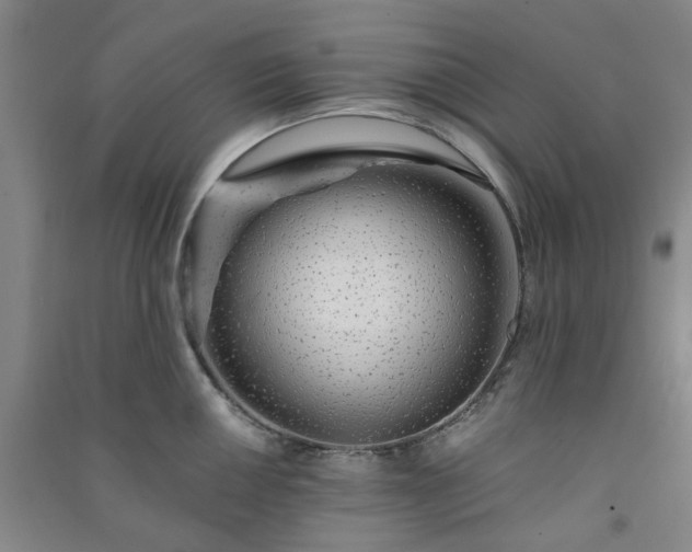X0000091231050200708161713