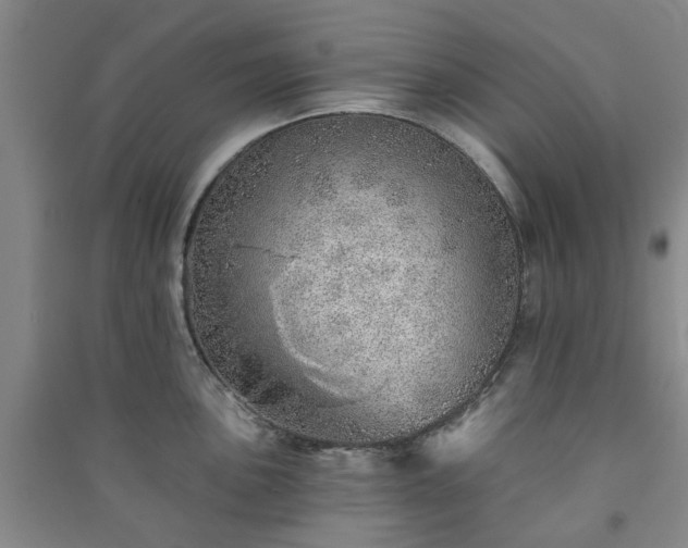 X0000091231051200708161713