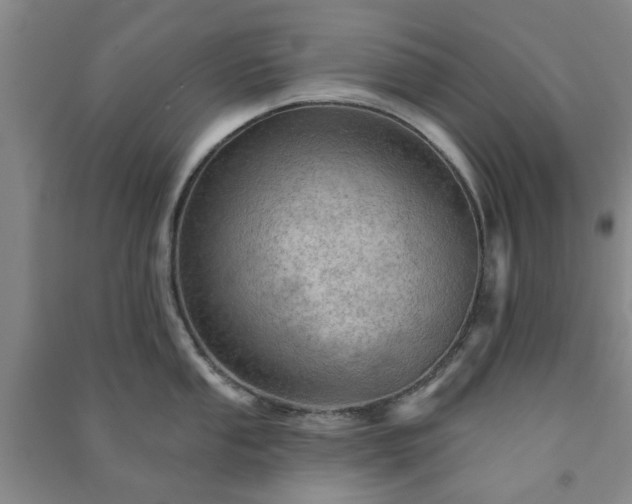 X0000091231053200708161713