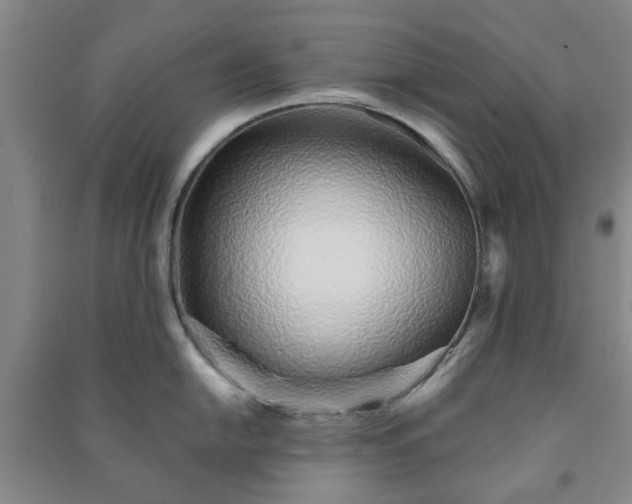 X0000091231054200708161713