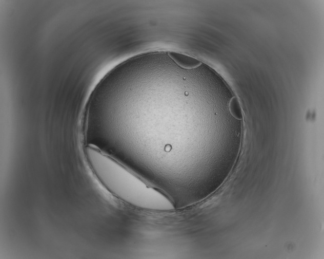 X0000091231056200708161713