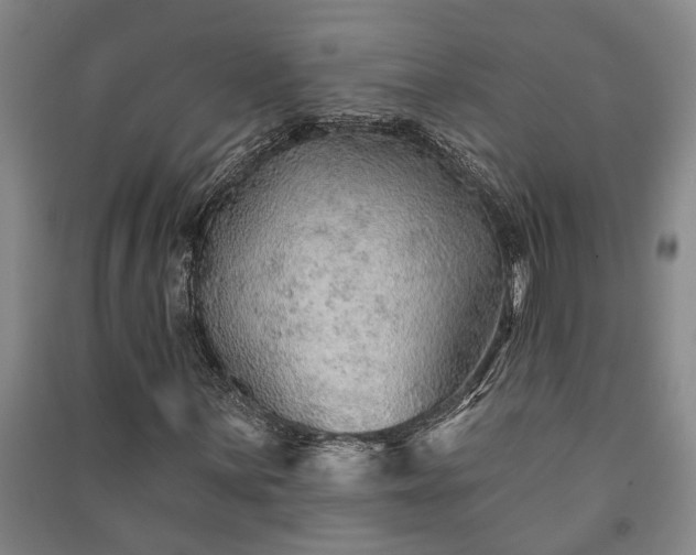 X0000091231059200708161712