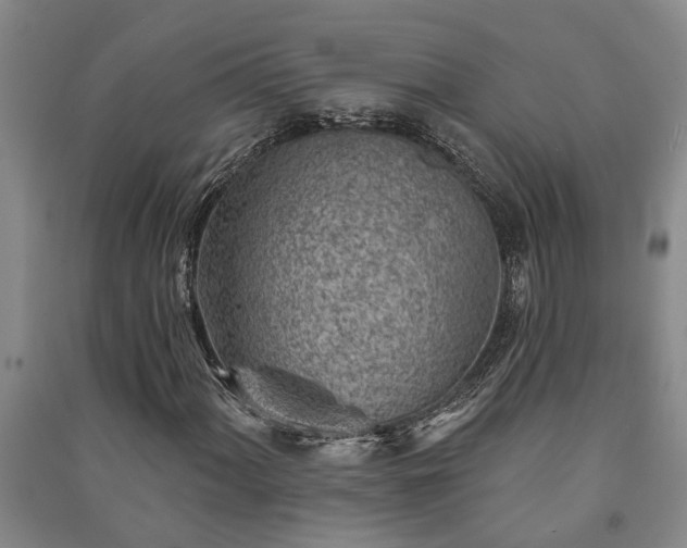 X0000091231060200708161712