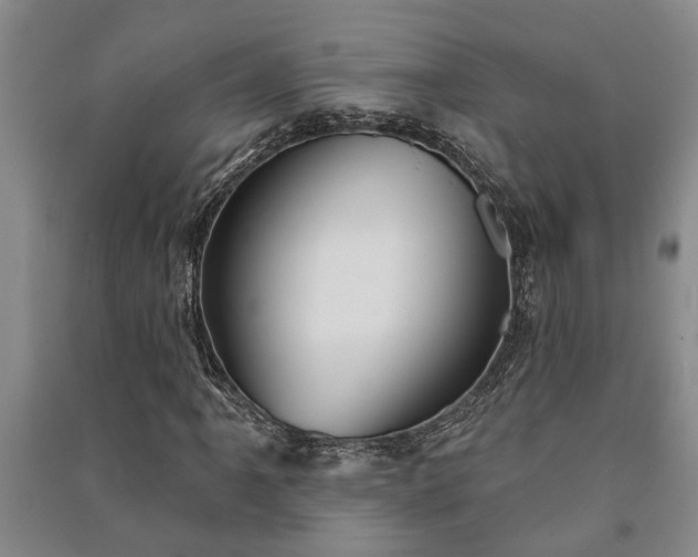 X0000091231061200708161712