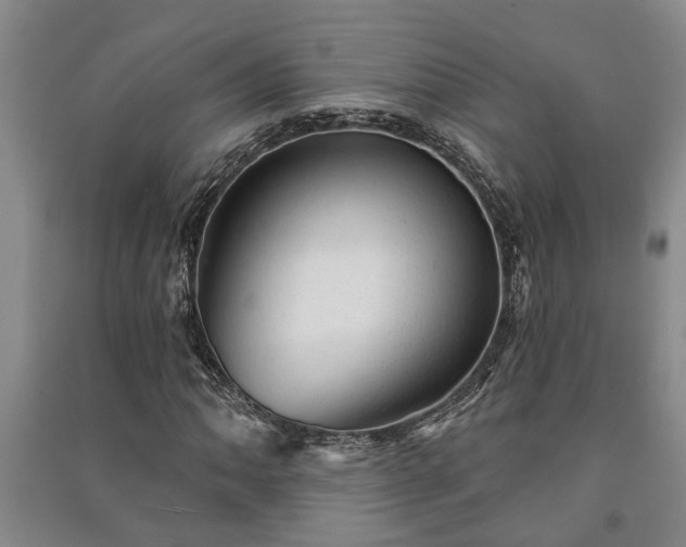X0000091231062200708161712