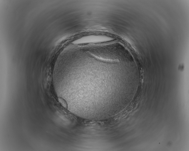 X0000091231063200708161712