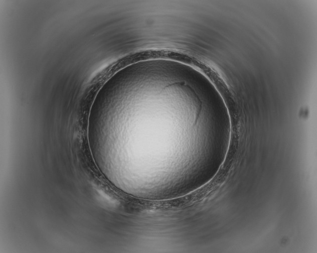 X0000091231064200708161712
