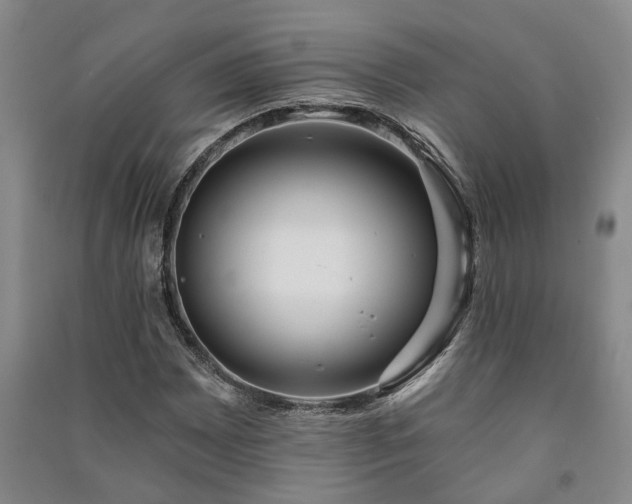 X0000091231065200708161712