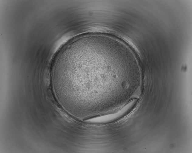 X0000091231067200708161712