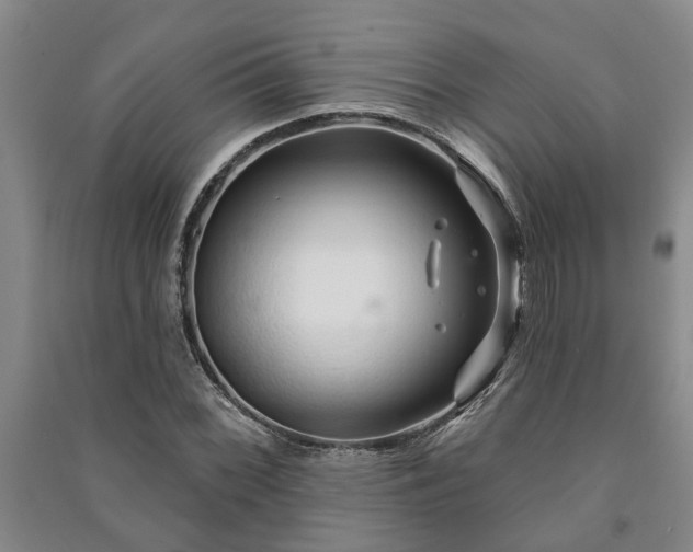 X0000091231068200708161712