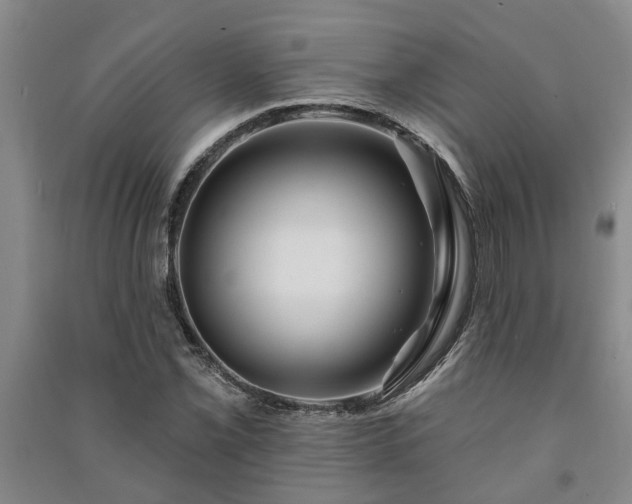 X0000091231069200708161712