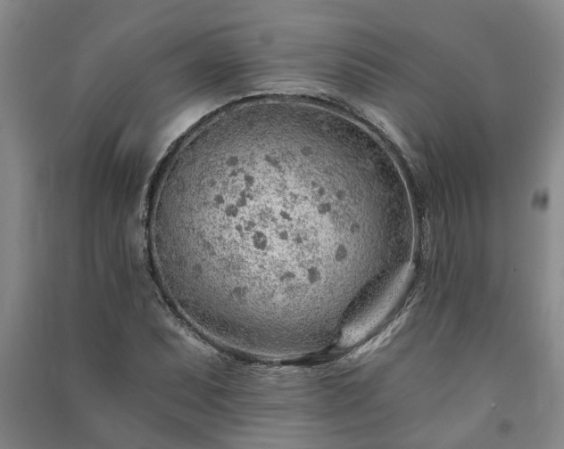 X0000091231071200708161712