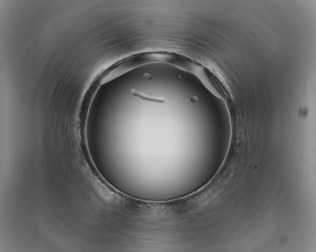 X0000091231072200708161712