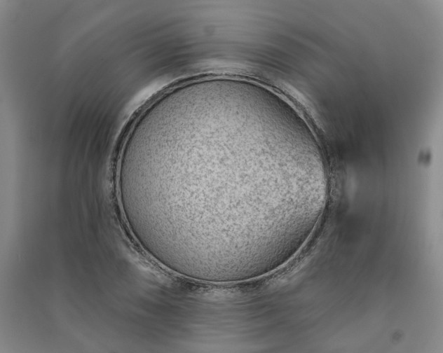 X0000091231074200708161712
