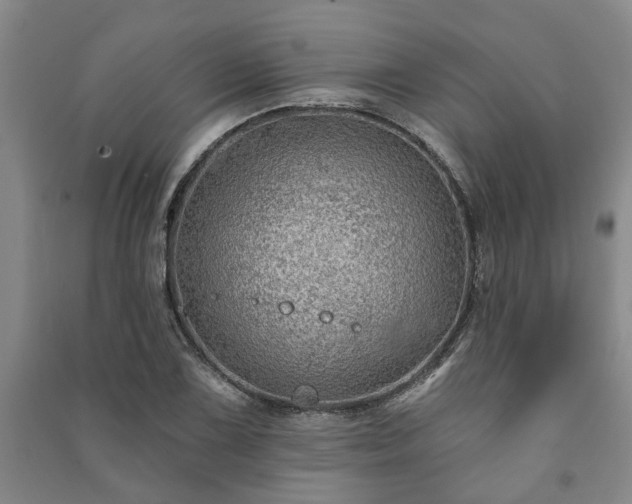 X0000091231075200708161712