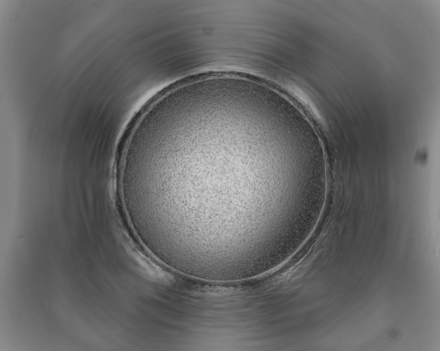 X0000091231076200708161712