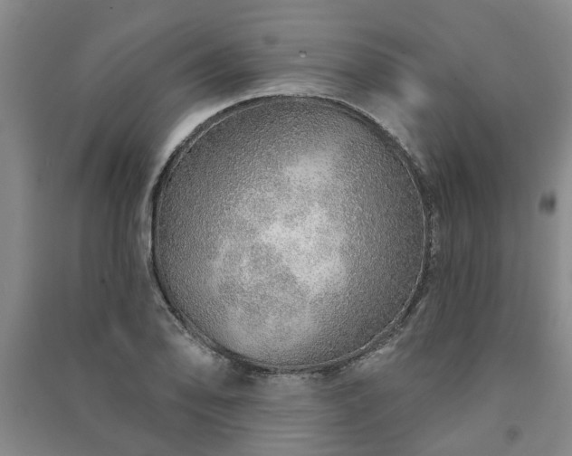 X0000091231078200708161712