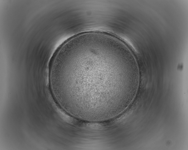 X0000091231079200708161712