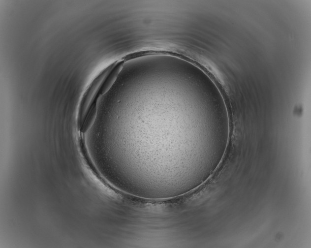 X0000091231080200708161712