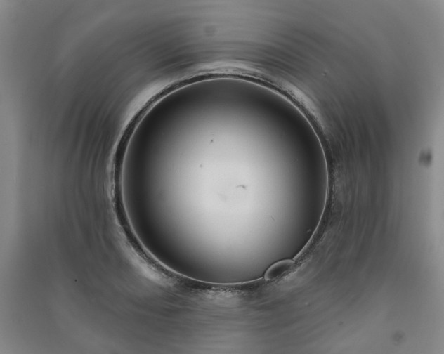 X0000091231082200708161712