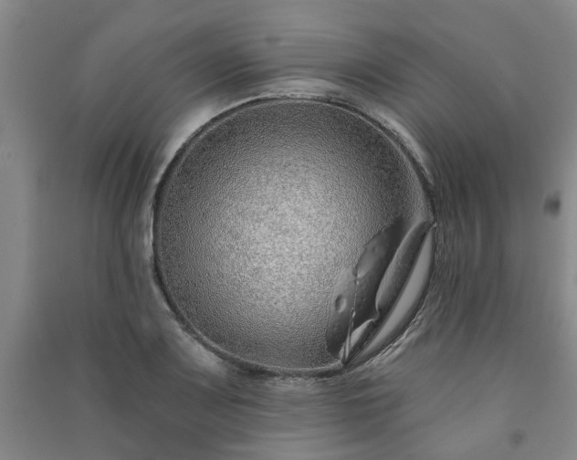 X0000091231083200708161712