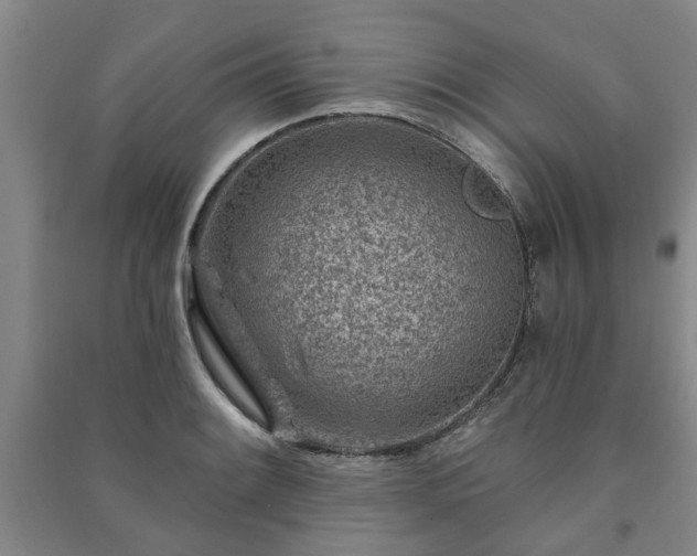 X0000091231084200708161712