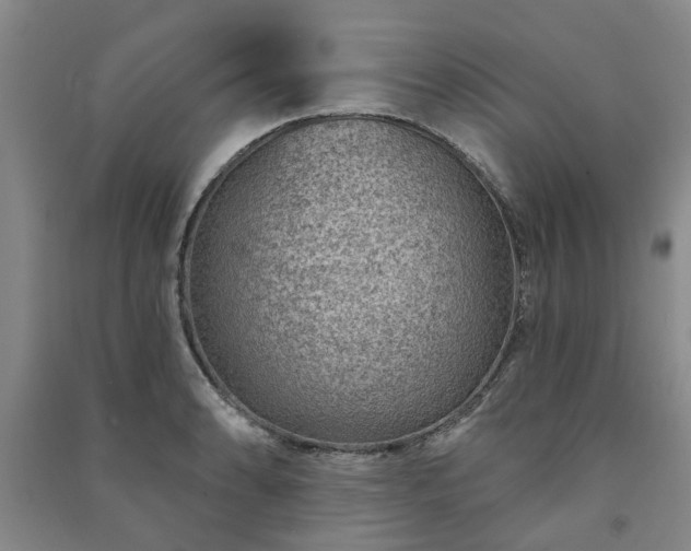 X0000091231086200708161712