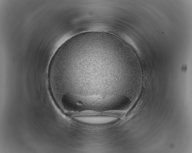 X0000091231087200708161712