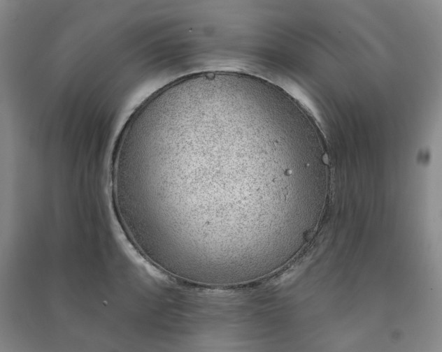 X0000091231088200708161712