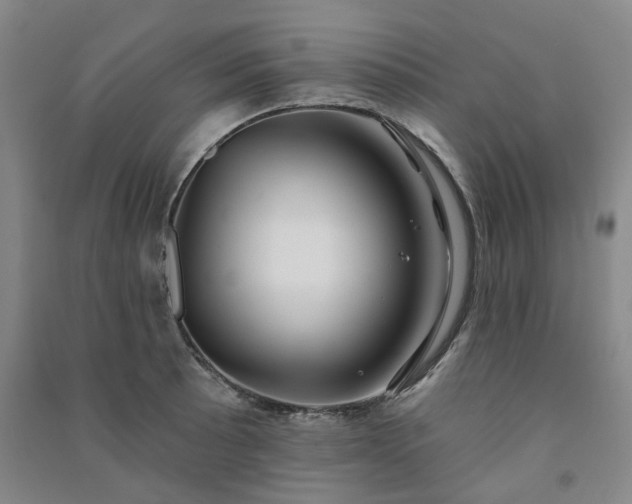 X0000091231089200708161712