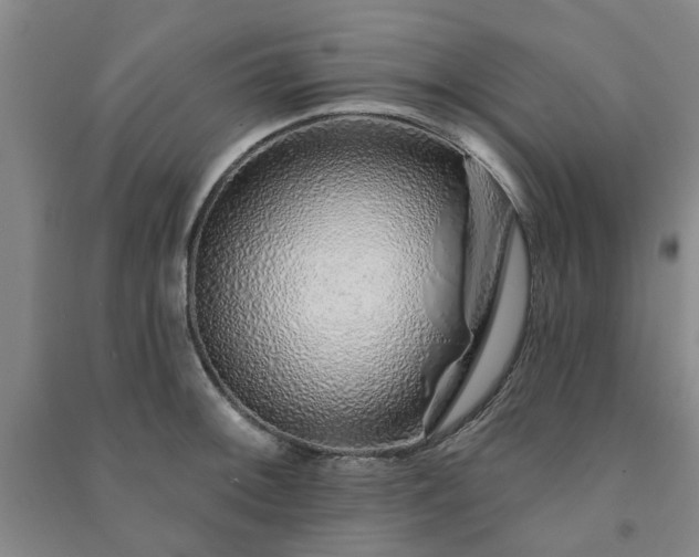 X0000091231092200708161712