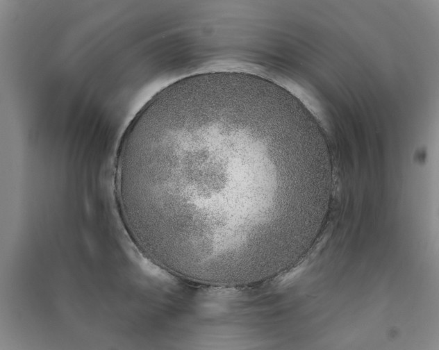 X0000091231094200708161712