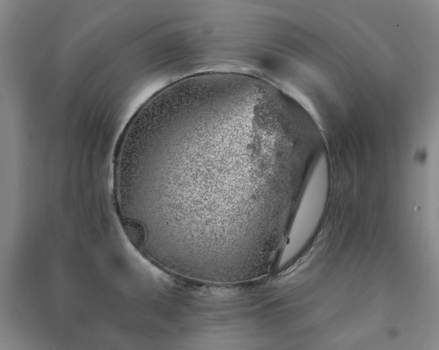 X0000091231095200708161711