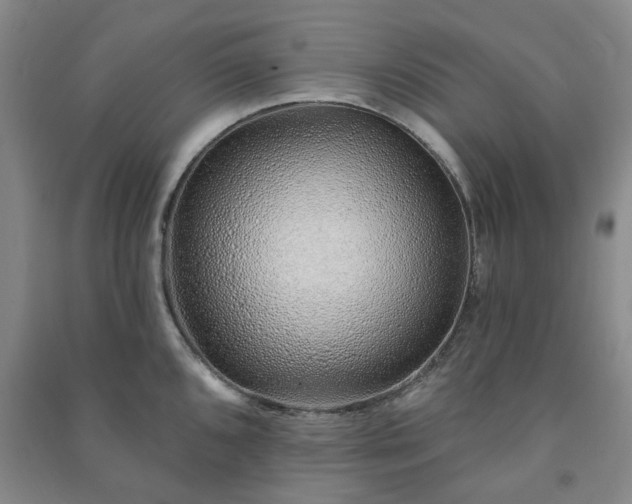 X0000091231096200708161711