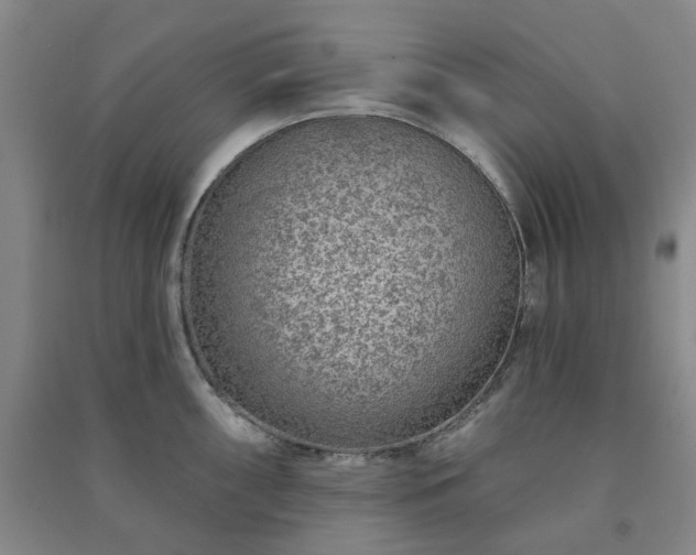 X0000091231098200708161711